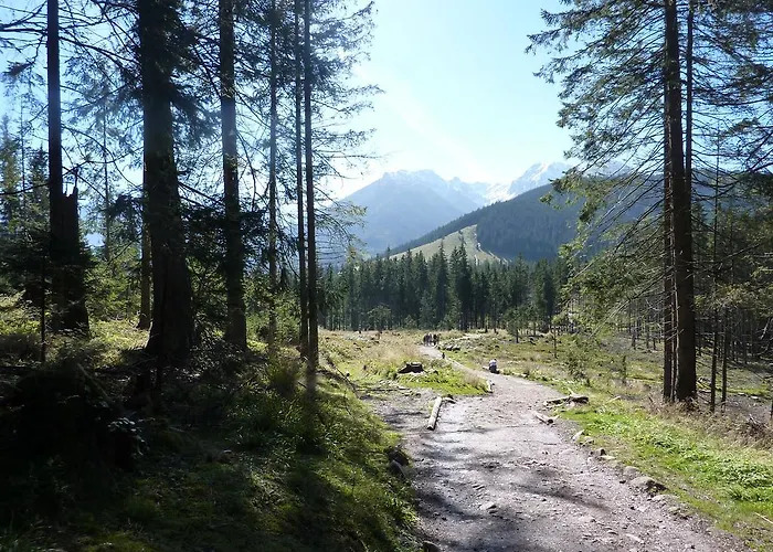 Litka Буковина-Татшаньска